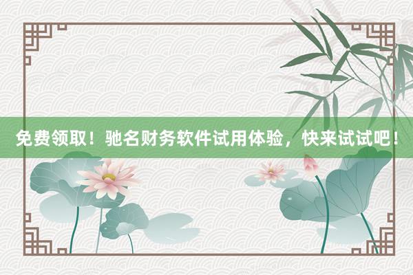 免费领取！驰名财务软件试用体验，快来试试吧！