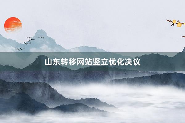 山东转移网站竖立优化决议